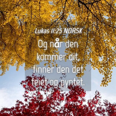 Picture 04 - Lukas 11:25 NORSK - Og når den kommer dit, finner den det feiet og - Bible Verse Picture