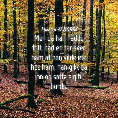 Picture 04 - Lukas 11:37 NORSK - Men da han hadde talt, bad en fariseer ham at han - Bible Verse Picture