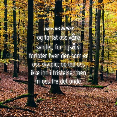 Picture 04 - Lukas 11:4 NORSK - og forlat oss våre synder, for også vi forlater - Bible Verse Picture