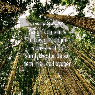 Picture 04 - Lukas 11:48 NORSK - Så gir I da eders fedres gjerninger vidnesbyrd - Bible Verse Picture