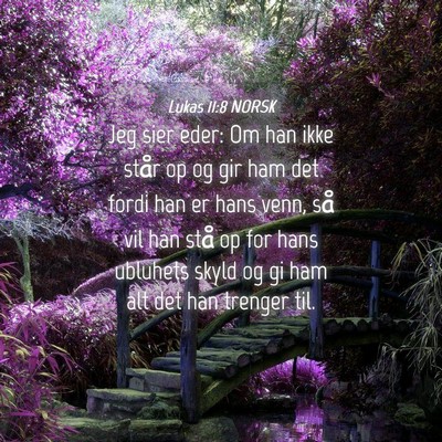 Picture 04 - Lukas 11:8 NORSK - Jeg sier eder: Om han ikke står op og gir ham - Bible Verse Picture