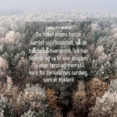 Picture 04 - Lukas 12:1 NORSK - Da folket imens hadde samlet sig i tusentall, så - Bible Verse Picture