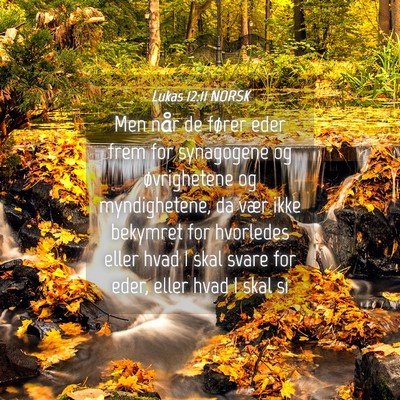 Picture 04 - Lukas 12:11 NORSK - Men når de fører eder frem for synagogene og - Bible Verse Picture