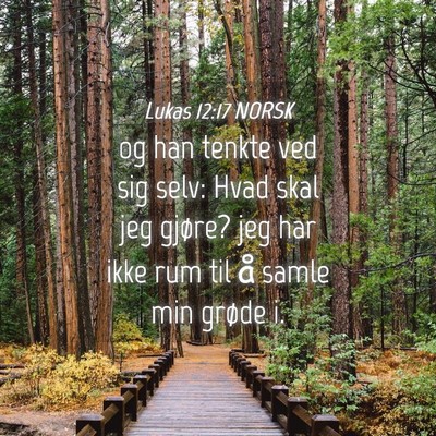 Picture 04 - Lukas 12:17 NORSK - og han tenkte ved sig selv: Hvad skal jeg gjøre? - Bible Verse Picture