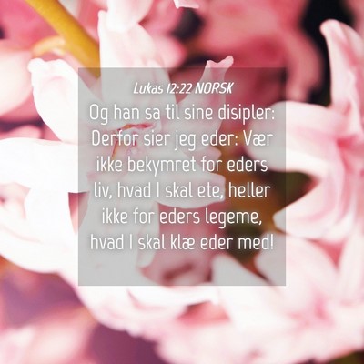 Picture 04 - Lukas 12:22 NORSK - Og han sa til sine disipler: Derfor sier jeg - Bible Verse Picture