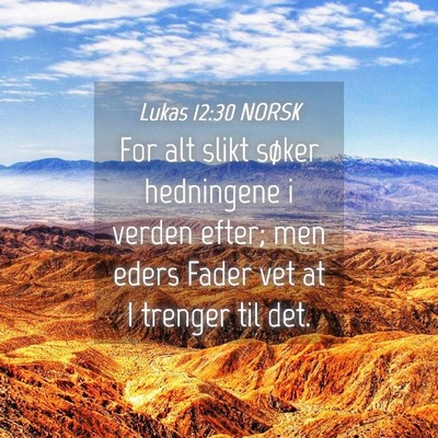 Picture 04 - Lukas 12:30 NORSK - For alt slikt søker hedningene i verden efter; - Bible Verse Picture