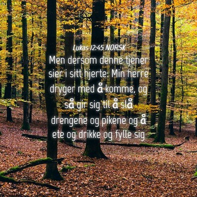 Picture 04 - Lukas 12:45 NORSK - Men dersom denne tjener sier i sitt hjerte: Min - Bible Verse Picture