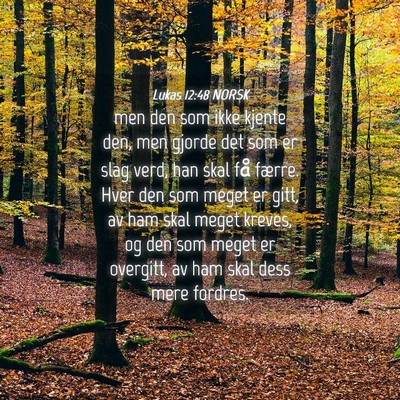 Picture 04 - Lukas 12:48 NORSK - men den som ikke kjente den, men gjorde det som - Bible Verse Picture