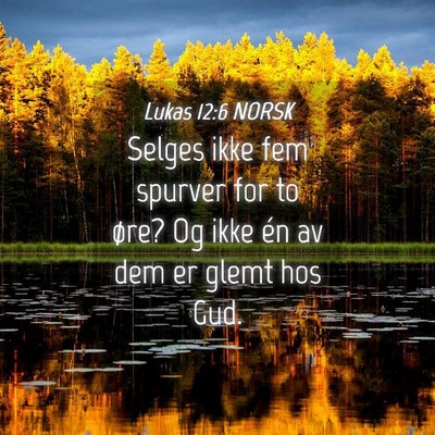 Picture 04 - Lukas 12:6 NORSK - Selges ikke fem spurver for to øre? Og ikke én - Bible Verse Picture