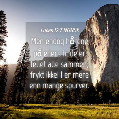 Picture 04 - Lukas 12:7 NORSK - Men endog hårene på eders hode er tellet alle - Bible Verse Picture