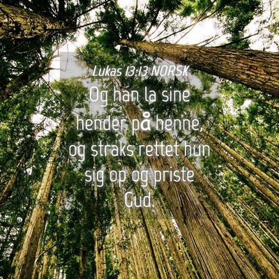 Picture 04 - Lukas 13:13 NORSK - Og han la sine hender på henne, og straks rettet - Bible Verse Picture