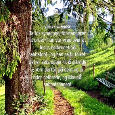 Picture 04 - Lukas 13:14 NORSK - Da tok synagoge-forstanderen til orde(-)han var - Bible Verse Picture
