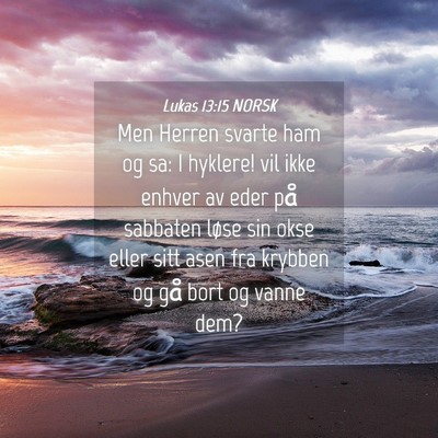 Picture 04 - Lukas 13:15 NORSK - Men Herren svarte ham og sa: I hyklere! vil ikke - Bible Verse Picture