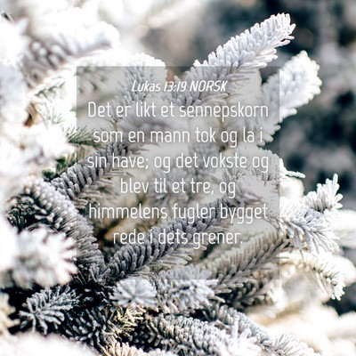 Picture 04 - Lukas 13:19 NORSK - Det er likt et sennepskorn som en mann tok og la - Bible Verse Picture