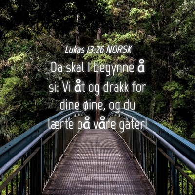 Picture 04 - Lukas 13:26 NORSK - Da skal I begynne å si: Vi åt og drakk for dine - Bible Verse Picture