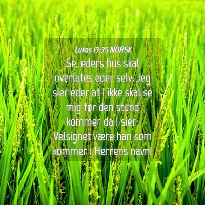 Picture 04 - Lukas 13:35 NORSK - Se, eders hus skal overlates eder selv. Jeg sier - Bible Verse Picture
