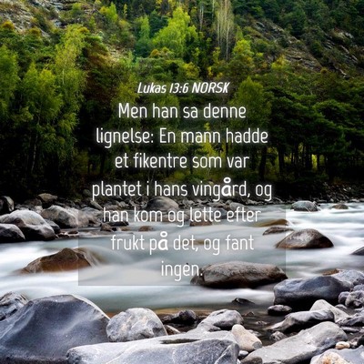Picture 04 - Lukas 13:6 NORSK - Men han sa denne lignelse: En mann hadde et - Bible Verse Picture