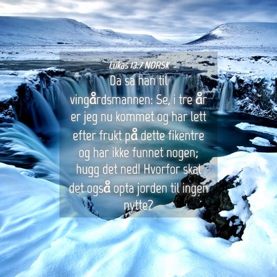 Picture 04 - Lukas 13:7 NORSK - Da sa han til vingårdsmannen: Se, i tre år er - Bible Verse Picture