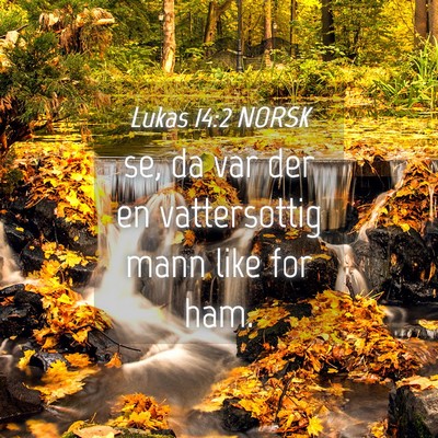 Picture 04 - Lukas 14:2 NORSK - se, da var der en vattersottig mann like for - Bible Verse Picture