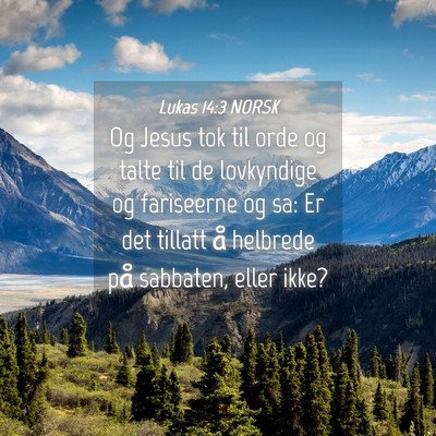 Picture 04 - Lukas 14:3 NORSK - Og Jesus tok til orde og talte til de lovkyndige - Bible Verse Picture