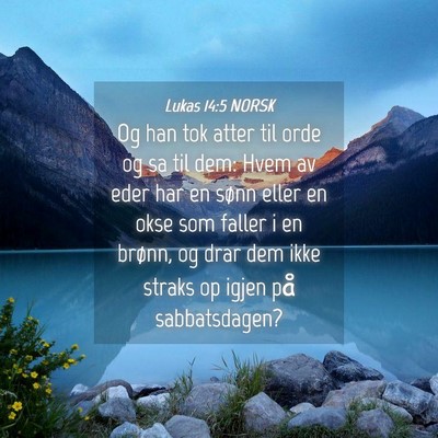 Picture 04 - Lukas 14:5 NORSK - Og han tok atter til orde og sa til dem: Hvem av - Bible Verse Picture