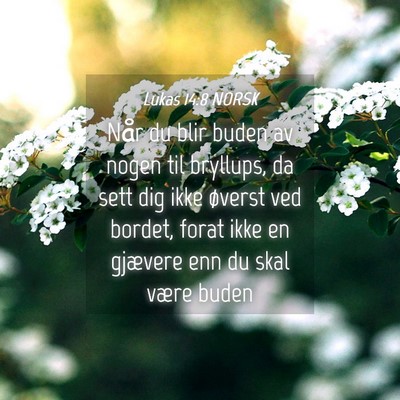 Picture 04 - Lukas 14:8 NORSK - Når du blir buden av nogen til bryllups, da sett - Bible Verse Picture