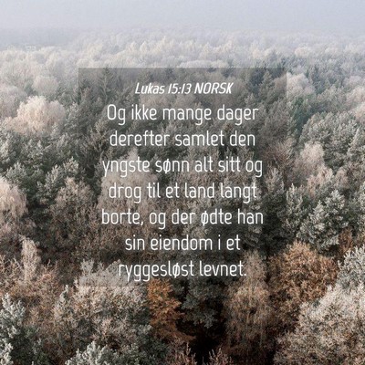 Picture 04 - Lukas 15:13 NORSK - Og ikke mange dager derefter samlet den yngste - Bible Verse Picture