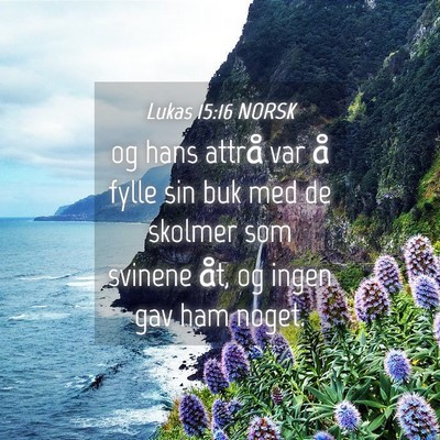 Picture 04 - Lukas 15:16 NORSK - og hans attrå var å fylle sin buk med de - Bible Verse Picture