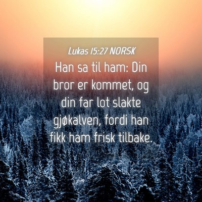 Picture 04 - Lukas 15:27 NORSK - Han sa til ham: Din bror er kommet, og din far - Bible Verse Picture