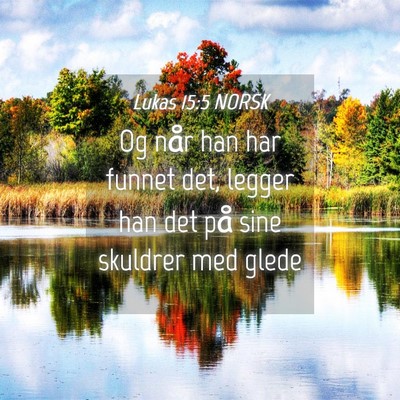 Picture 04 - Lukas 15:5 NORSK - Og når han har funnet det, legger han det på - Bible Verse Picture