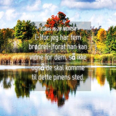 Picture 04 - Lukas 16:28 NORSK - (-)for jeg har fem brødre(-)forat han kan vidne - Bible Verse Picture