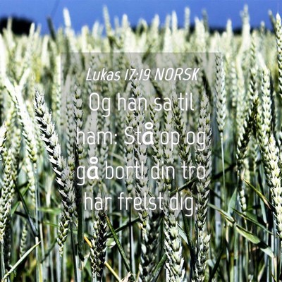 Picture 04 - Lukas 17:19 NORSK - Og han sa til ham: Stå op og gå bort! din tro - Bible Verse Picture