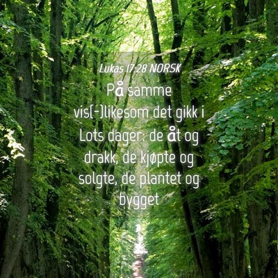 Picture 04 - Lukas 17:28 NORSK - På samme vis(-)likesom det gikk i Lots dager: de - Bible Verse Picture