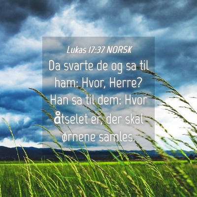 Picture 04 - Lukas 17:37 NORSK - Da svarte de og sa til ham: Hvor, Herre? Han sa - Bible Verse Picture