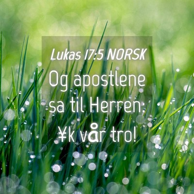 Picture 04 - Lukas 17:5 NORSK - Og apostlene sa til Herren: ¥k vår - Bible Verse Picture