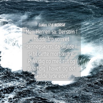 Picture 04 - Lukas 17:6 NORSK - Men Herren sa: Dersom I hadde tro som et - Bible Verse Picture