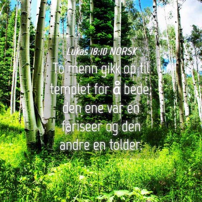 Picture 04 - Lukas 18:10 NORSK - To menn gikk op til templet for å bede; den ene - Bible Verse Picture