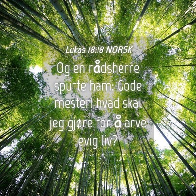 Picture 04 - Lukas 18:18 NORSK - Og en rådsherre spurte ham: Gode mester! hvad - Bible Verse Picture