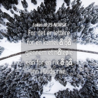 Picture 04 - Lukas 18:25 NORSK - For det er lettere for en kamel å gå gjennem et - Bible Verse Picture