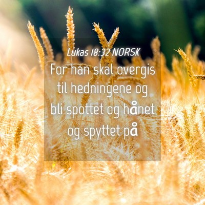 Picture 04 - Lukas 18:32 NORSK - For han skal overgis til hedningene og bli - Bible Verse Picture