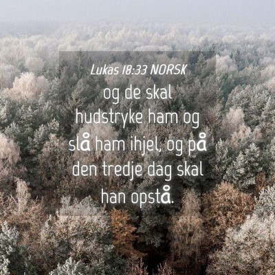 Picture 04 - Lukas 18:33 NORSK - og de skal hudstryke ham og slå ham ihjel, og - Bible Verse Picture