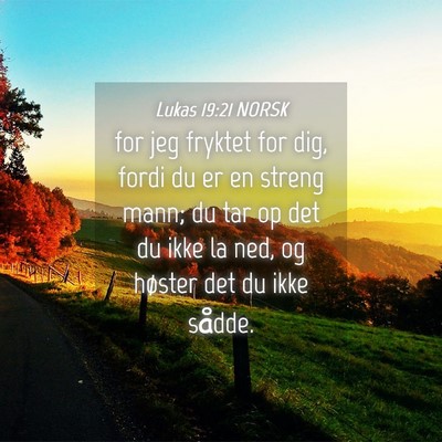 Picture 04 - Lukas 19:21 NORSK - for jeg fryktet for dig, fordi du er en streng - Bible Verse Picture