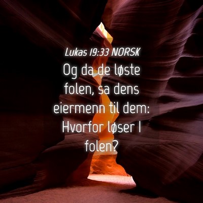 Picture 04 - Lukas 19:33 NORSK - Og da de løste folen, sa dens eiermenn til dem: - Bible Verse Picture