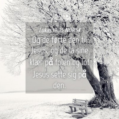 Picture 04 - Lukas 19:35 NORSK - Og de førte den til Jesus, og de la sine klær - Bible Verse Picture