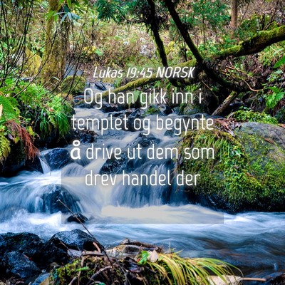 Picture 04 - Lukas 19:45 NORSK - Og han gikk inn i templet og begynte å drive ut - Bible Verse Picture