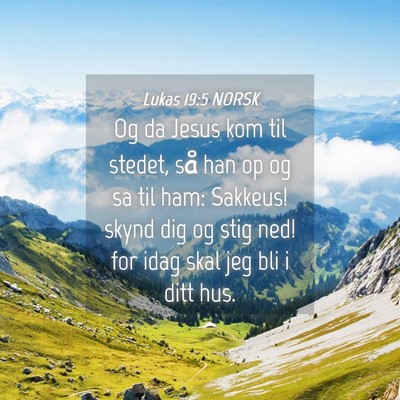 Picture 04 - Lukas 19:5 NORSK - Og da Jesus kom til stedet, så han op og sa til - Bible Verse Picture