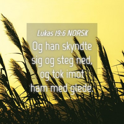 Picture 04 - Lukas 19:6 NORSK - Og han skyndte sig og steg ned, og tok imot ham - Bible Verse Picture