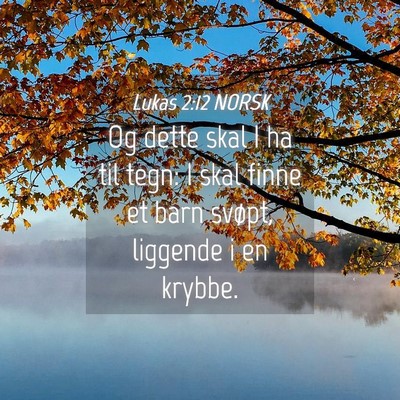 Picture 04 - Lukas 2:12 NORSK - Og dette skal I ha til tegn: I skal finne et barn - Bible Verse Picture