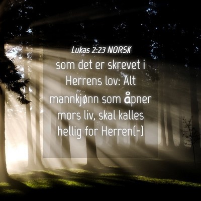 Picture 04 - Lukas 2:23 NORSK - som det er skrevet i Herrens lov: Alt mannkjønn - Bible Verse Picture