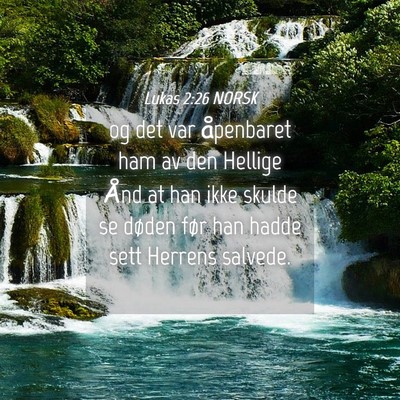 Picture 04 - Lukas 2:26 NORSK - og det var åpenbaret ham av den Hellige Ånd at - Bible Verse Picture